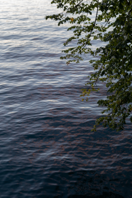 http://www.alexandermeyer.org/files/gimgs/th-1__08A3091_v2.jpg