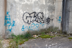 http://www.alexandermeyer.org/files/gimgs/th-58__08A5703-Bearbeitet.jpg