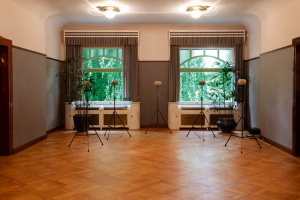 http://www.alexandermeyer.org/files/gimgs/th-58__08A5924-Bearbeitet.jpg