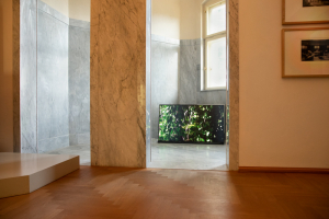 http://www.alexandermeyer.org/files/gimgs/th-58__08A6152-Bearbeitet.jpg